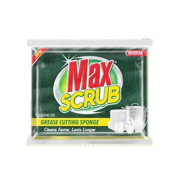 Max Scrub Scouring Pad With Sponge Regular